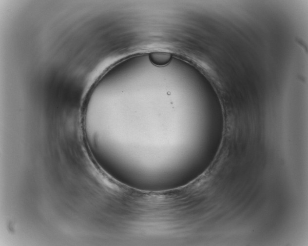 X0000099491470200805151355