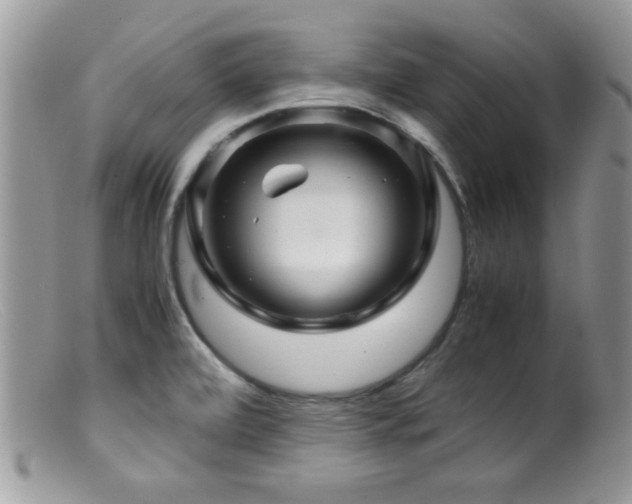 X0000099491472200805151355