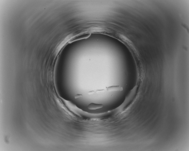 X0000099491473200805151355