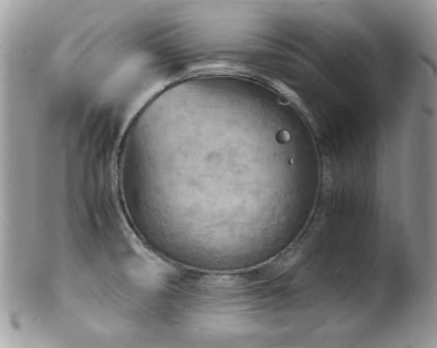 X0000099491474200805151355