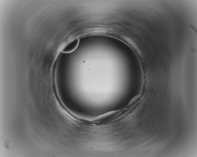 X0000099491475200805151355