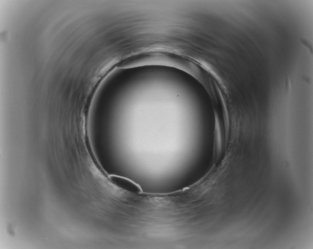 X0000099491476200805151355
