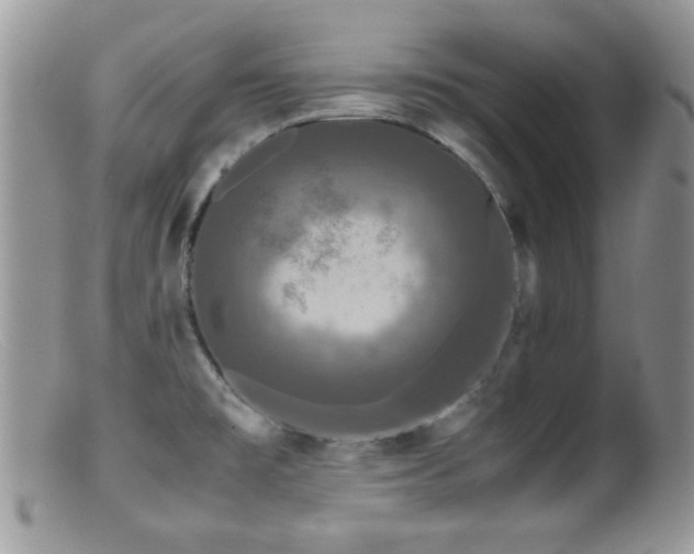 X0000099491477200805151355