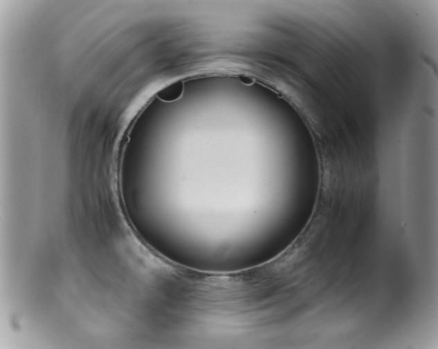 X0000099491478200805151355
