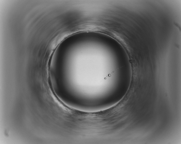 X0000099491479200805151355