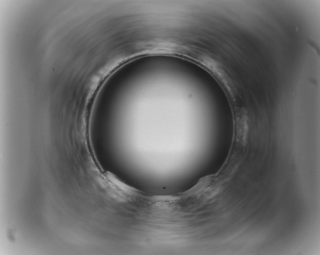 X0000099491480200805151355