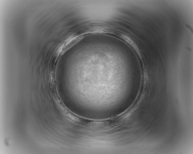X0000099491481200805151355