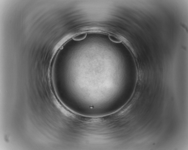 X0000099491482200805151355