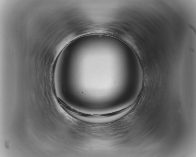 X0000099491483200805151355