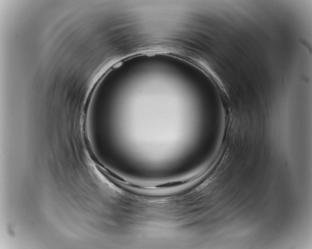 X0000099491484200805151355