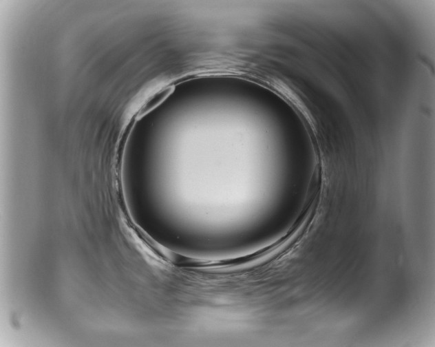 X0000099491485200805151355