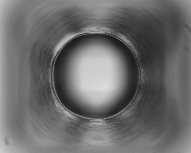 X0000099491486200805151355