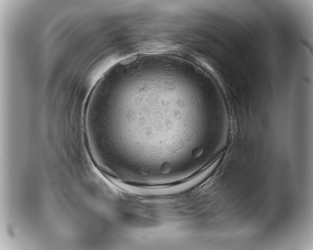 X0000099491487200805151355