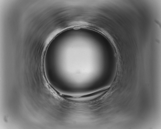 X0000099491488200805151355