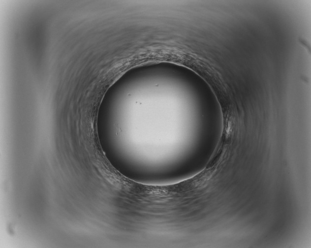 X0000099491489200805151354