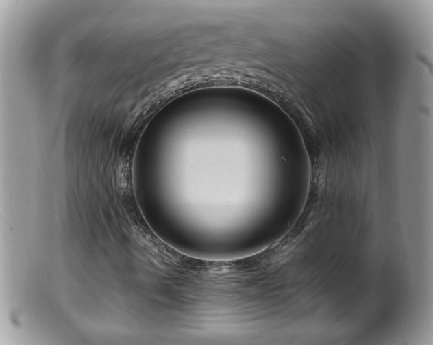X0000099491490200805151354