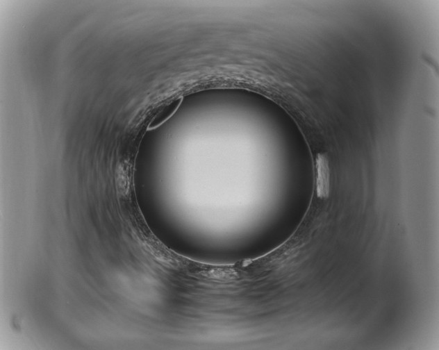 X0000099491491200805151354