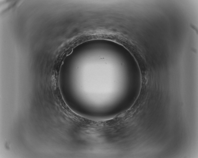 X0000099491493200805151354