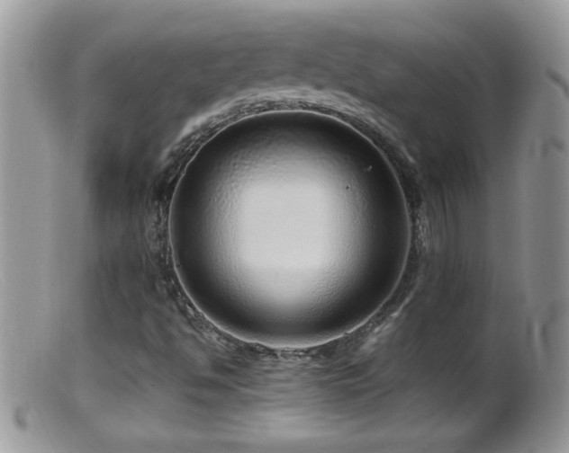 X0000099491494200805151354