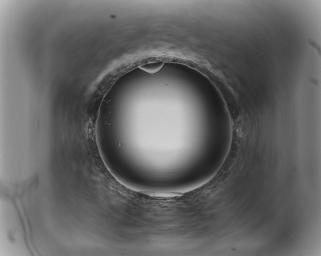 X0000099491495200805151354