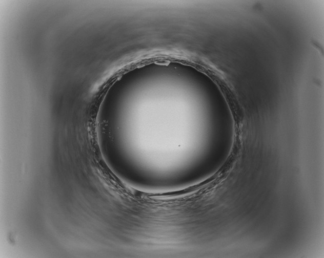 X0000099491496200805151354