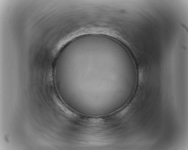 X0000099491498200805151354