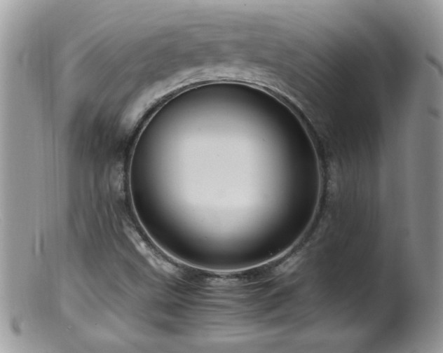 X0000099491499200805151354