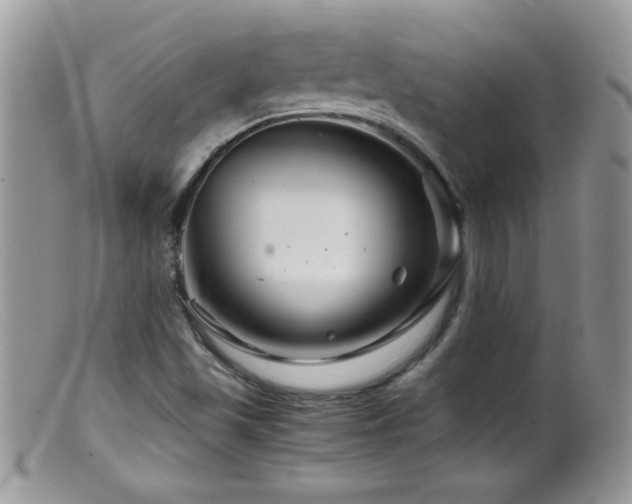 X0000099491501200805151354