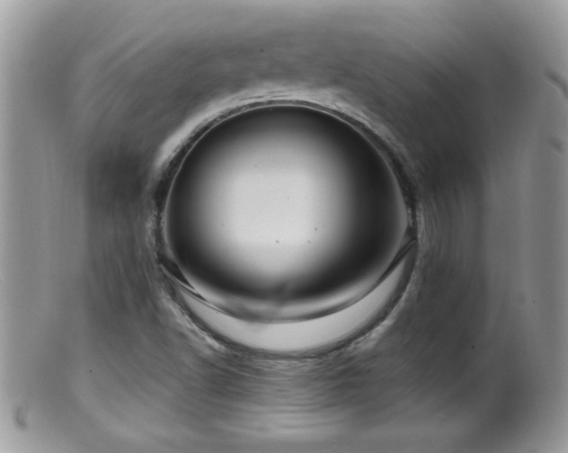X0000099491502200805151354