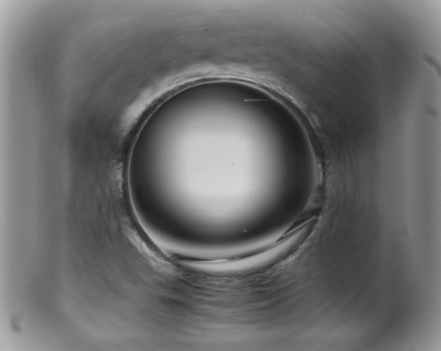 X0000099491503200805151354