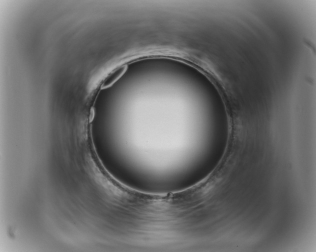 X0000099491504200805151354
