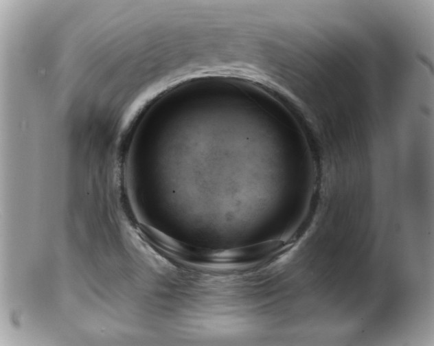 X0000099491506200805151354