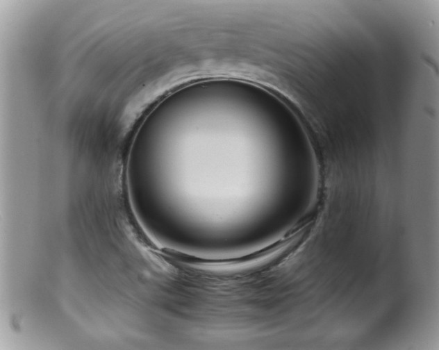 X0000099491507200805151354