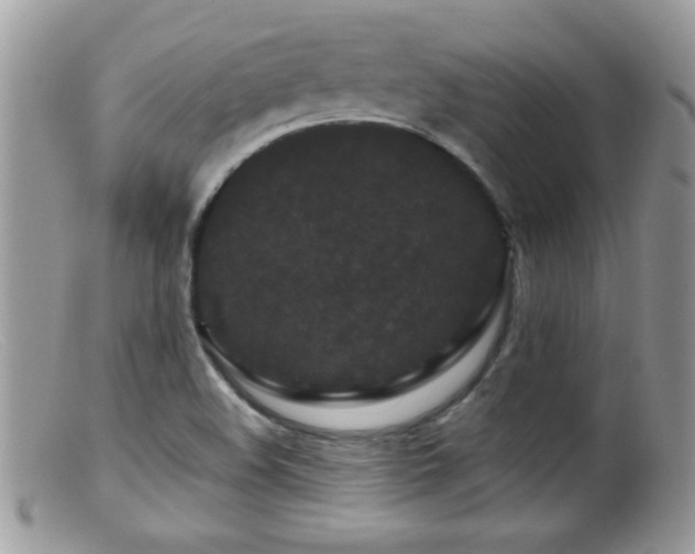 X0000099491508200805151354