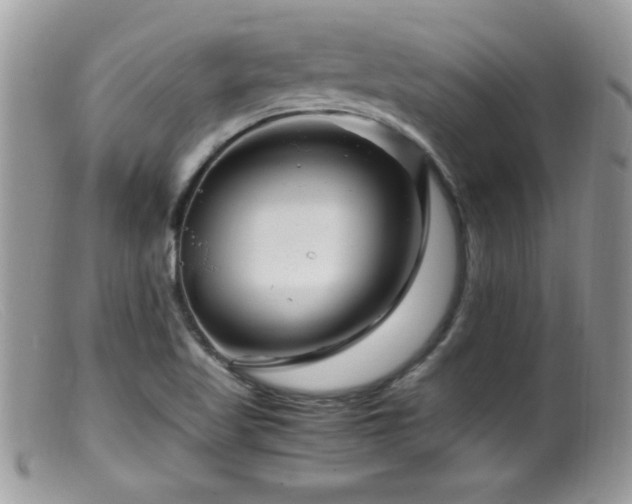 X0000099491509200805151354