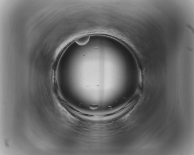X0000099491510200805151354