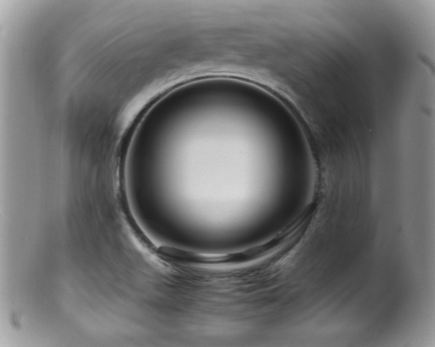 X0000099491511200805151354
