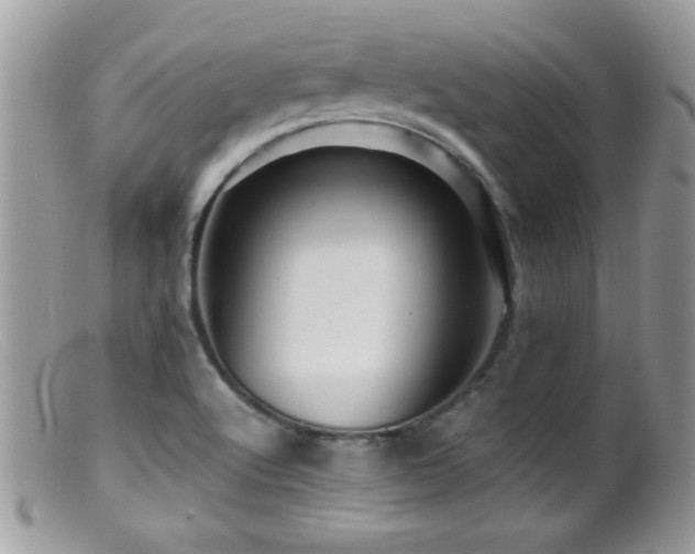 X0000099491512200805151354