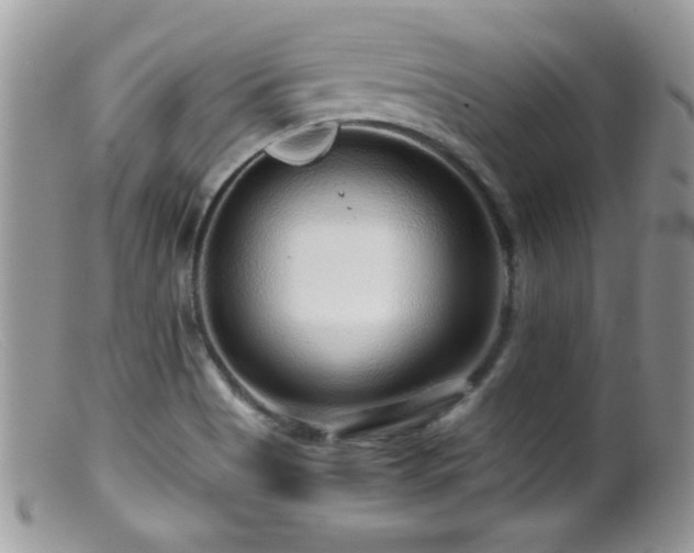 X0000099491513200805151354