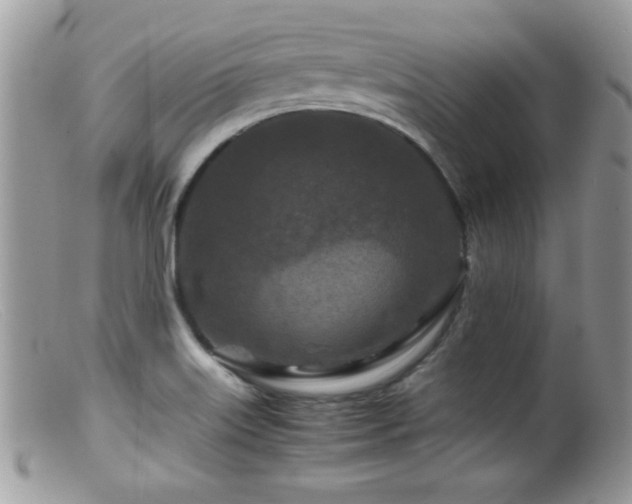 X0000099491515200805151354
