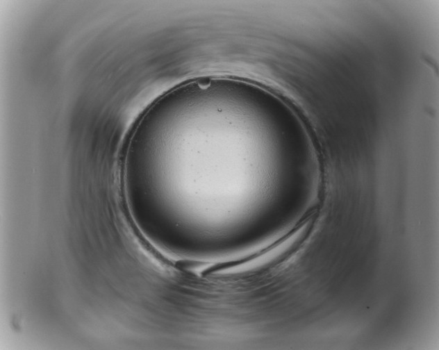 X0000099491517200805151354