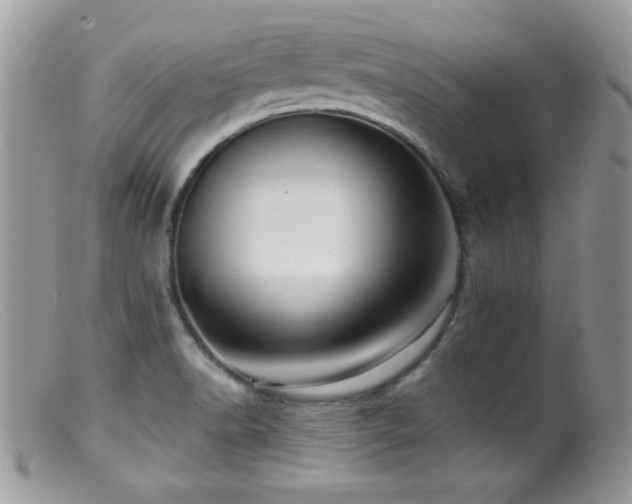 X0000099491518200805151354