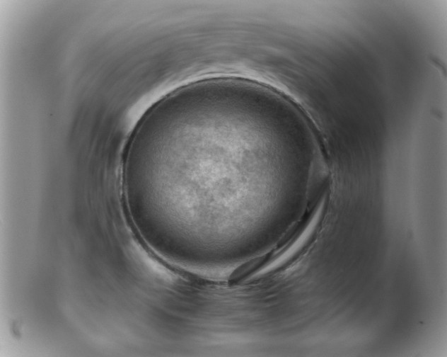 X0000099491519200805151354