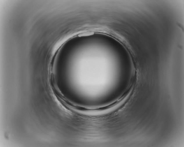 X0000099491520200805151354