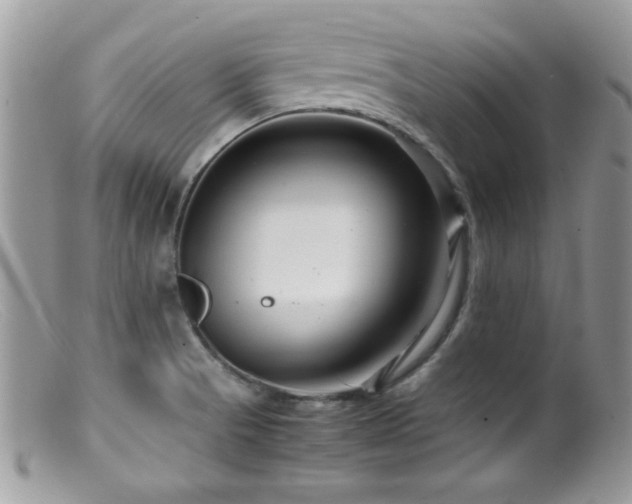 X0000099491521200805151354