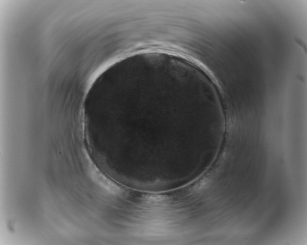 X0000099491522200805151354