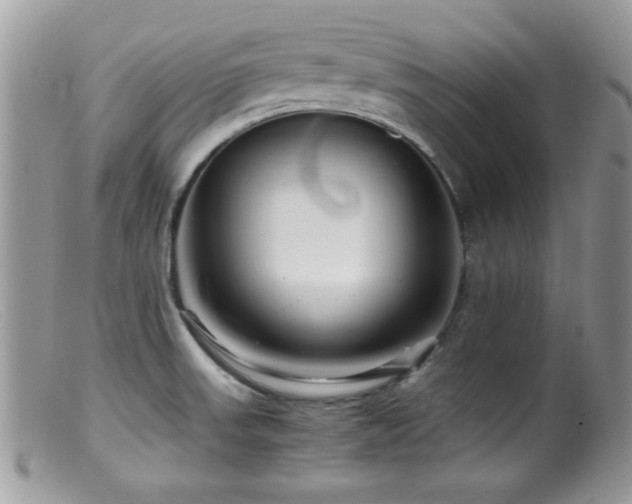 X0000099491523200805151354