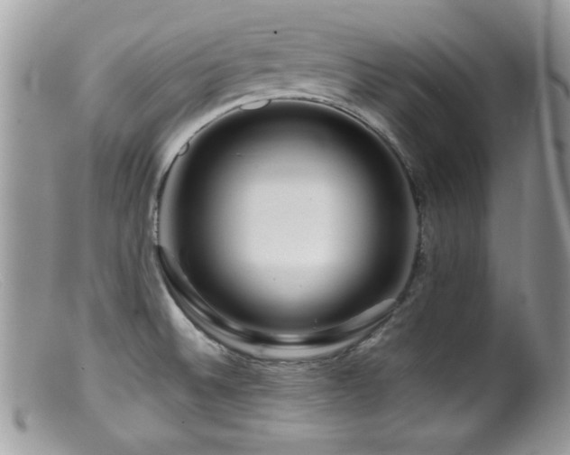 X0000099491524200805151354