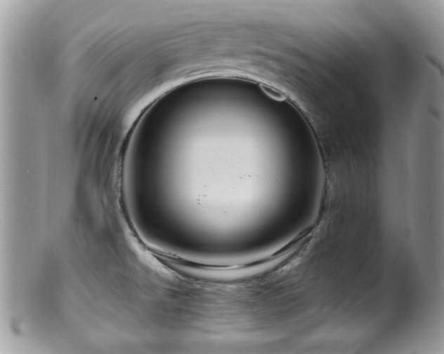 X0000099491526200805151354