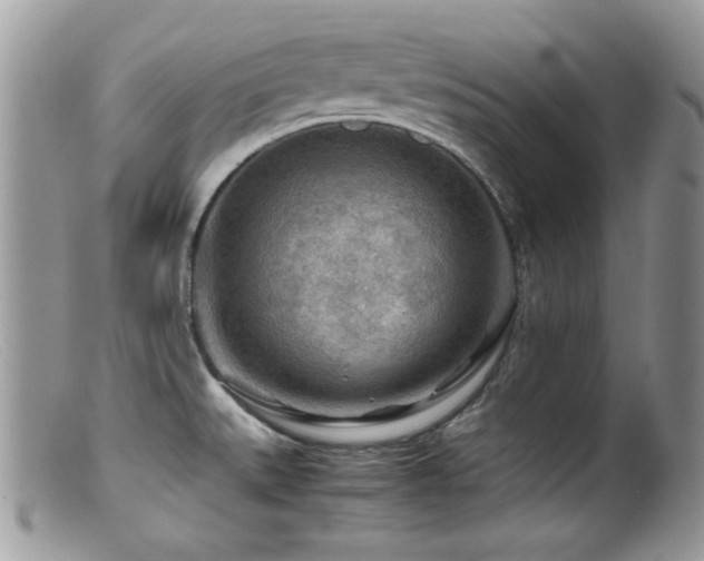 X0000099491527200805151354